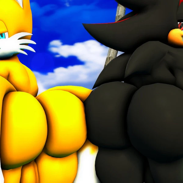 Miles Prower, Shadow The Hedgehog (Sega, Sonic The Hedgehog (Series)) Created By Homienicky