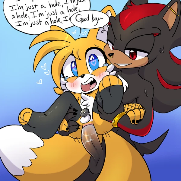 Miles Prower, Shadow The Hedgehog (Sega, Sonic The Hedgehog (Series)) Created By Toyboxxx