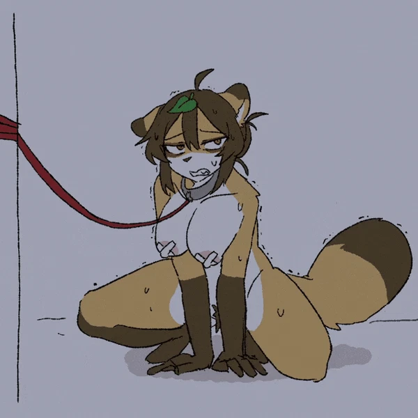 Nuki (Barkbark505) Created By Barkbark505