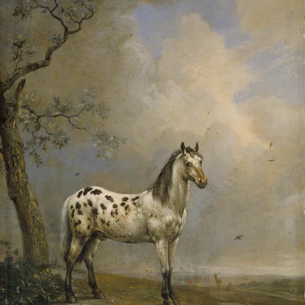 Public Domain Created By Paulus Potter