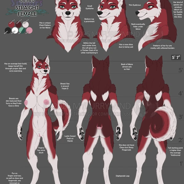Ruby (Myfurrymind) Created By Myfurrymind