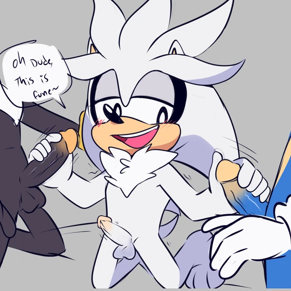 Shadow The Hedgehog, Silver The Hedgehog, Sonic The Hedgehog (Sega, Sonic The Hedgehog (Series)) Created By Himooncake, Lou Lubally