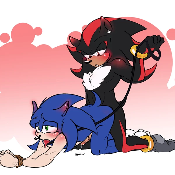 Shadow The Hedgehog, Sonic The Hedgehog (Sega, Sonic The Hedgehog (Series)) Created By Shib Nuki