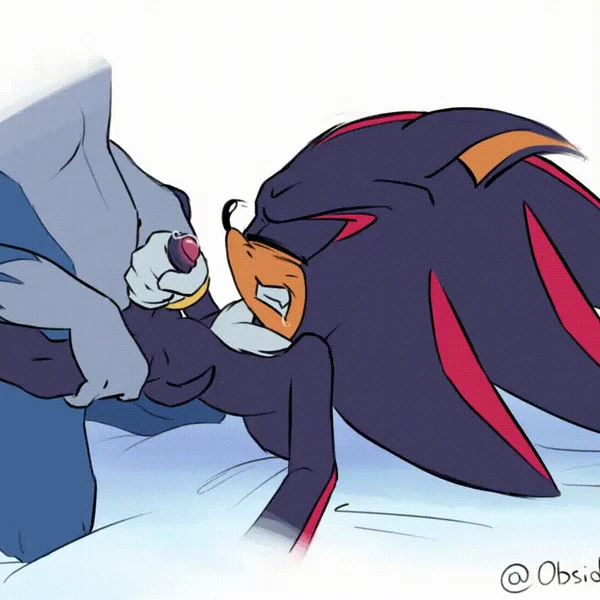 Shadow The Hedgehog, Sonic The Hedgehog, Sonic The Werehog (Sega, Sonic The Hedgehog (Series)) Created By Obsidianthedrake