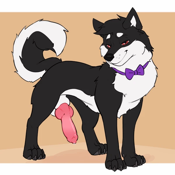 Shadow The Husky Created By Lapatte