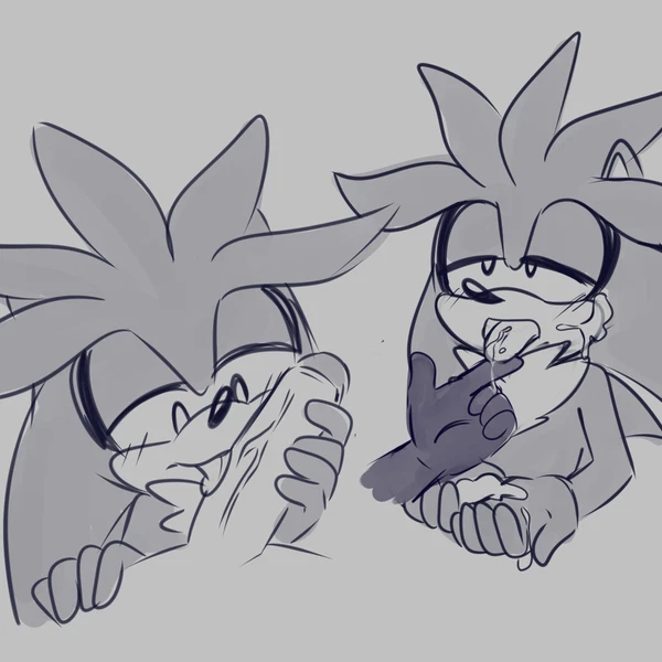 Silver The Hedgehog (Sega, Sonic The Hedgehog (Series)) Created By Himooncake, Lou Lubally