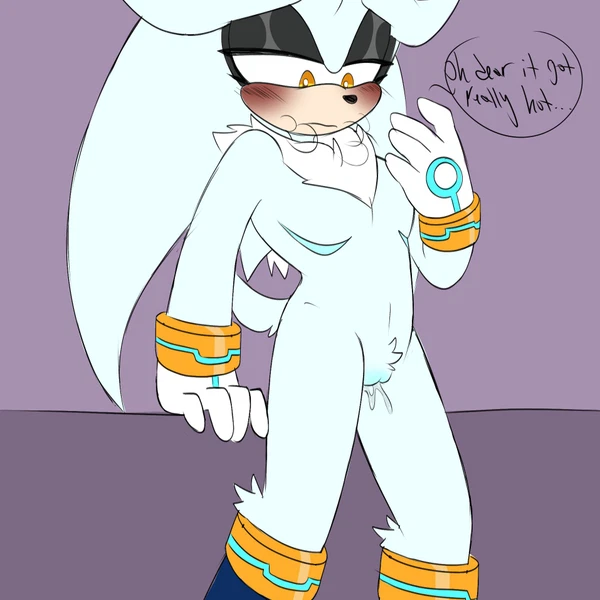 Silver The Hedgehog (Sega, Sonic The Hedgehog (Series)) Created By Lilcrazybat
