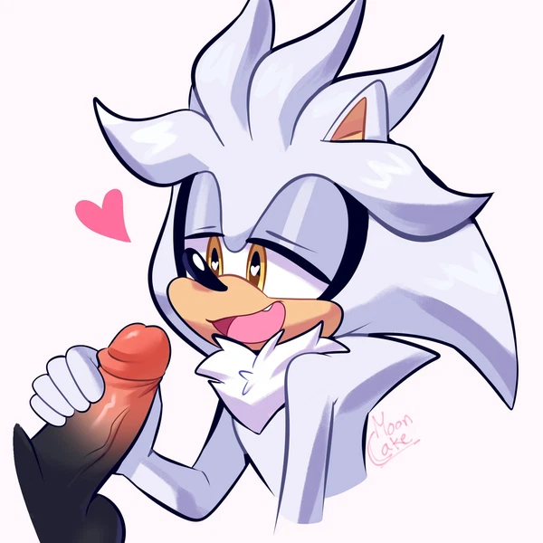 Silver The Hedgehog (Sega, Sonic The Hedgehog (Series)) Created By Lou Lubally
