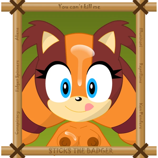 Sticks The Jungle Badger (Sega, Sonic Boom) Created By Neoeclipse