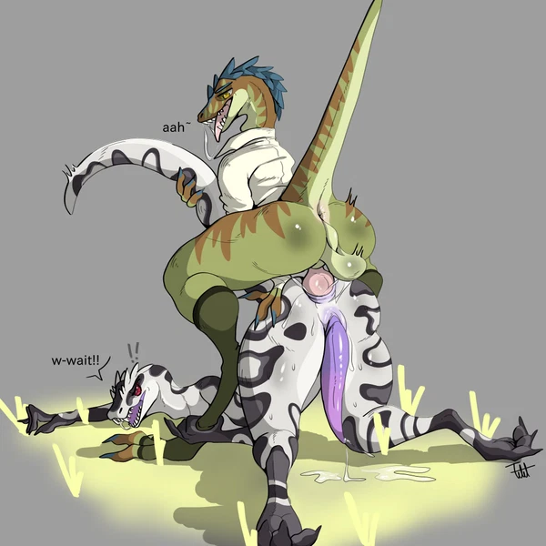 Velux Created By Raptor Felix