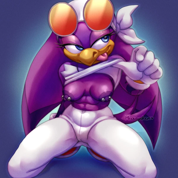 Wave The Swallow (Sega, Sonic Riders) Created By Meowwabae