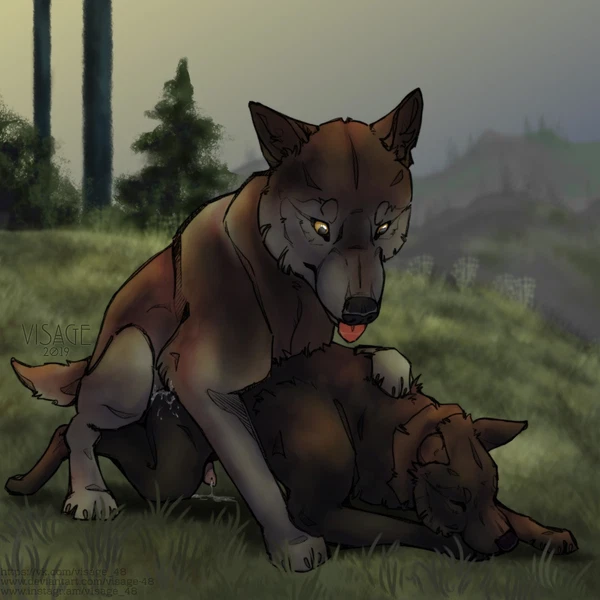 Wolfquest Created By Visage 48