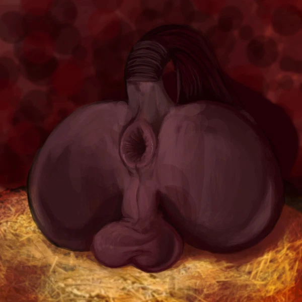 Abstract Background, Anthro, Anus, Balls
