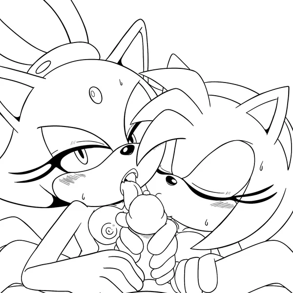 Amy Rose, Blaze The Cat, Sonic The Hedgehog (Sega, Sonic The Hedgehog (Series)) Created By Spindasher98