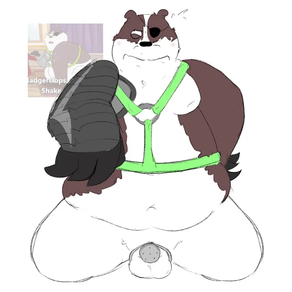 Badgerclops (Cartoon Network, Mao Mao: Heroes Of Pure Heart) Created By Dreamycasta