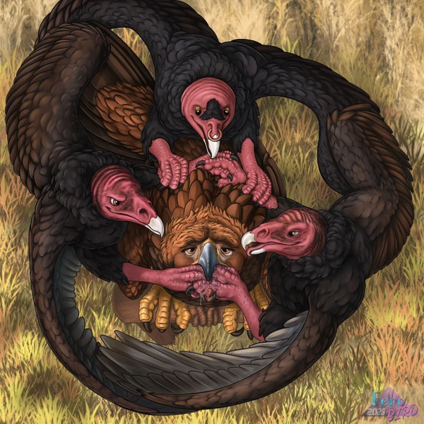 Bear (Shu The Dragon), Sawyer (Ferobird) Created By Ferobird
