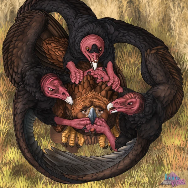 Bear (Shu The Dragon), Sawyer (Ferobird) Created By Ferobird