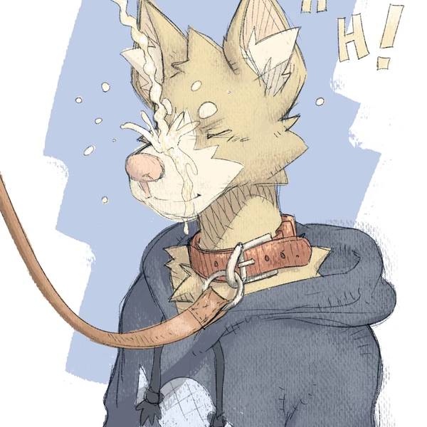 Bruno (Tuskito) Created By Tuskito