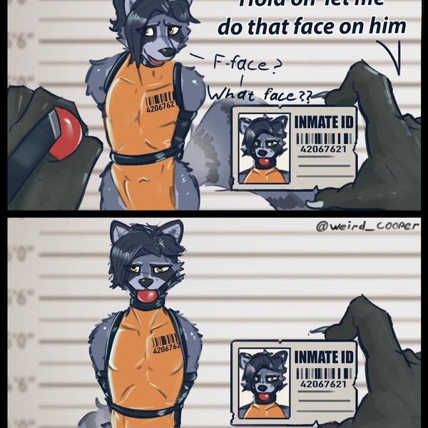 Cooper The Raccoon (Hold On Let Me Do The Face) Created By Weird Cooper