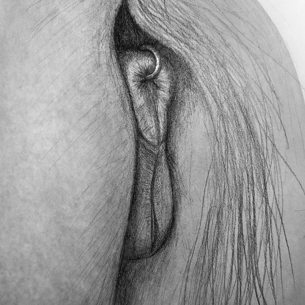 Created By Darkmare
