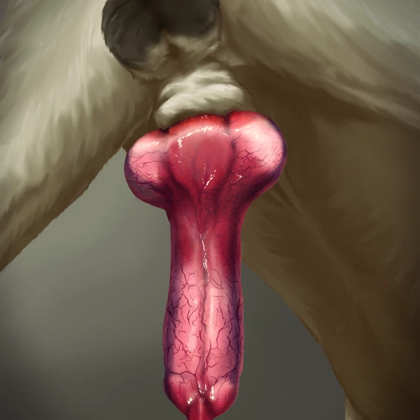 Created By Dogface
