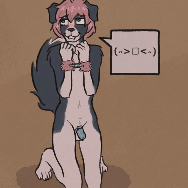 Created By Dogsmoker