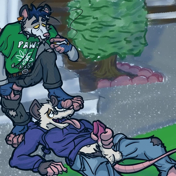 Created By Rocko (Artist)