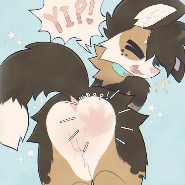 Created By Wuff34