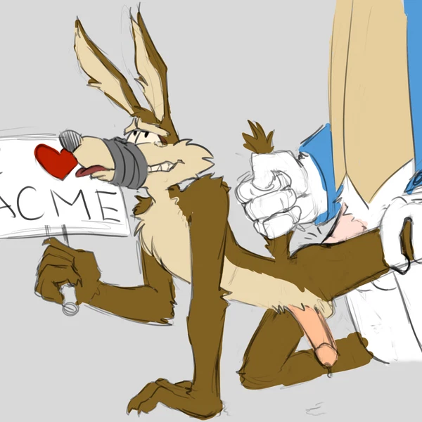 Foghorn Leghorn, Wile E. Coyote (Coyote Vs. Acme, Looney Tunes)