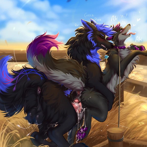 Foxxsnow, Skylofox Created By Mohitopaw