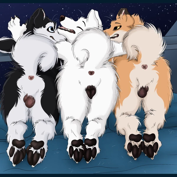 Fx (Gthusky), Husky (Gthusk), Lya (Gthusky) Created By Gthusky