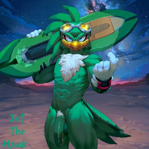 Jet The Hawk (Sega, Sonic The Hedgehog (Series)) Created By Badendbat