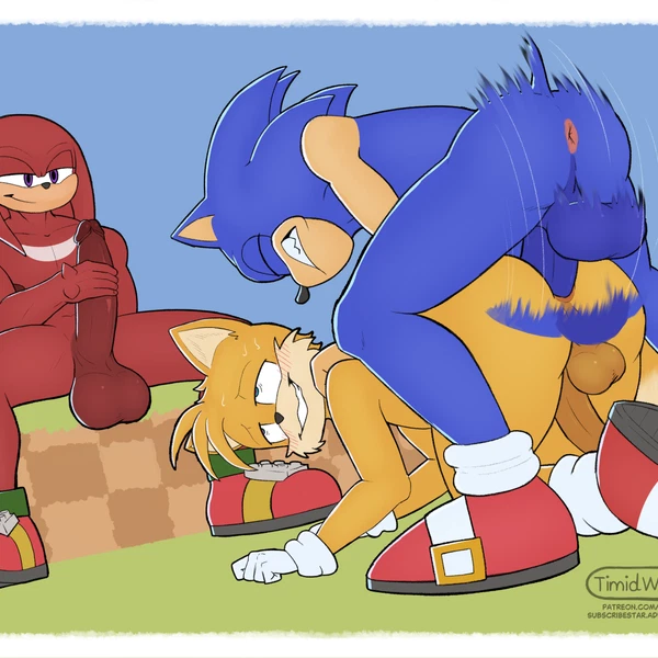 Knuckles The Echidna, Miles Prower, Sonic The Hedgehog (Sega, Sonic The Hedgehog (Series)) Created By Timidwithapen