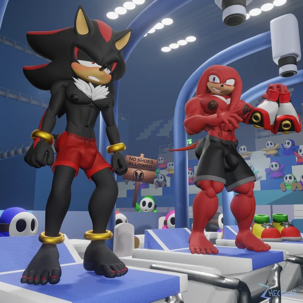 Knuckles The Echidna, Shadow The Hedgehog (Mario And Sonic At The Olympic Games, Mario Bros) Created By Zhecklar