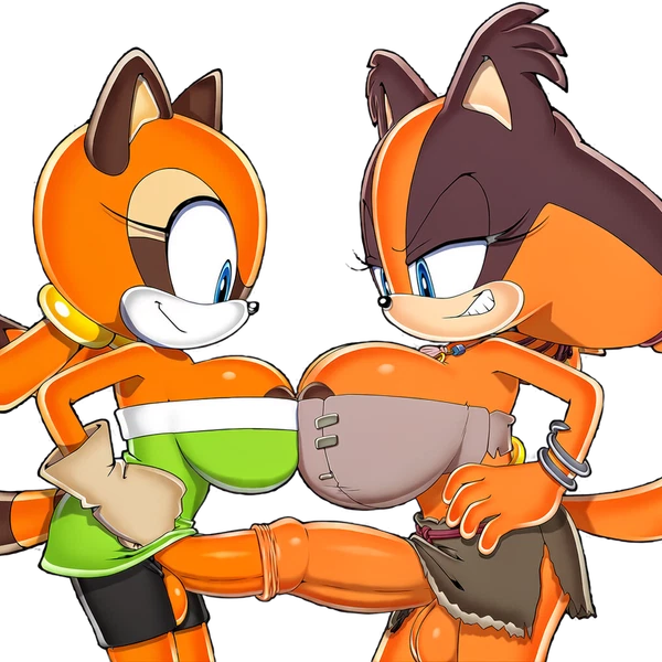 Marine The Raccoon, Sticks The Jungle Badger (Sega, Sonic Boom) Created By Boxen549
