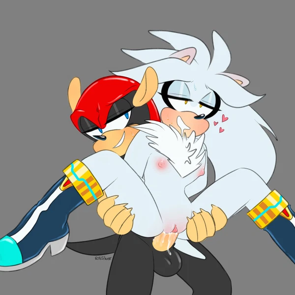 Mighty The Armadillo, Silver The Hedgehog (Sega, Sonic The Hedgehog (Series)) Created By Silveroppai