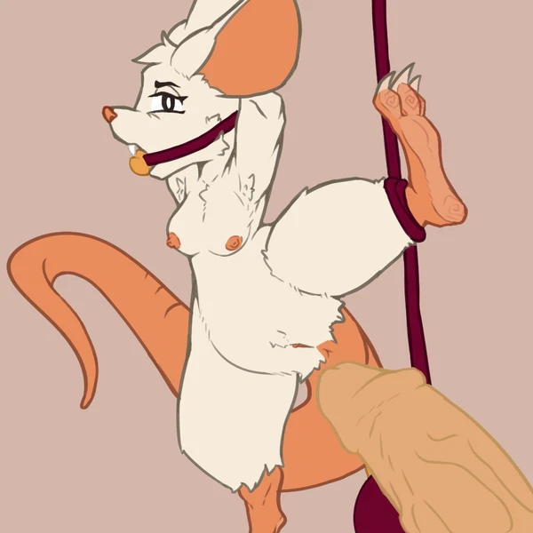 Mina (Mina The Hollower) (Mina The Hollower, Yacht Club Games) Created By Stardustspears