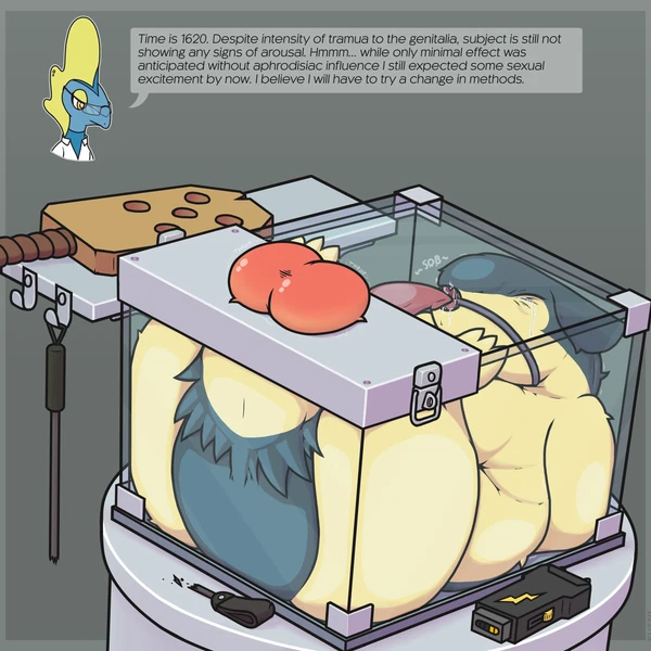 Nintendo, Pokemon Created By Fuzzo