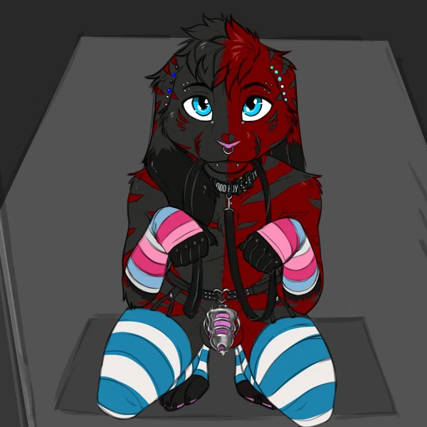 Pebber Created By Savaj Bunny