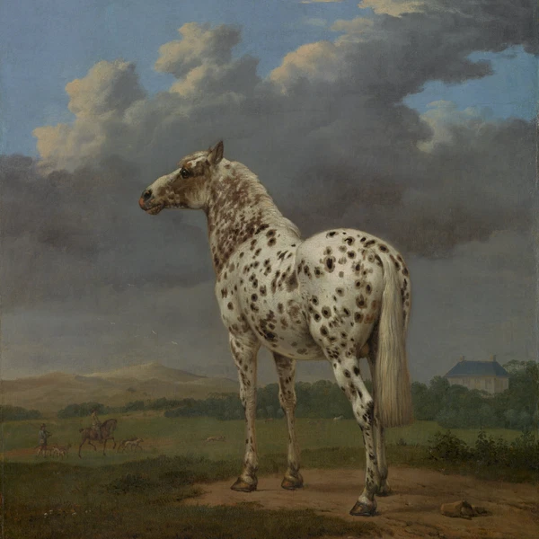 Public Domain Created By Paulus Potter