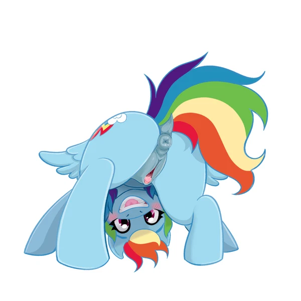 Rainbow Dash (Mlp) (Friendship Is Magic, Hasbro) Created By Melody Maku