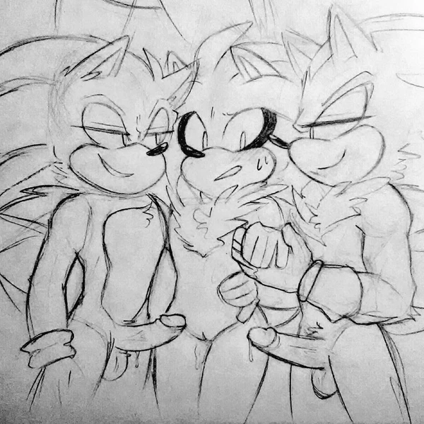 Shadow The Hedgehog, Silver The Hedgehog, Sonic The Hedgehog (Sega, Sonic The Hedgehog (Series)) Created By Silveroppai
