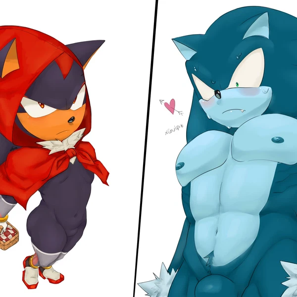 Shadow The Hedgehog, Sonic The Hedgehog, Sonic The Werehog (Fairy Tales, Little Red Riding Hood (Copyright)) Created By Wsora