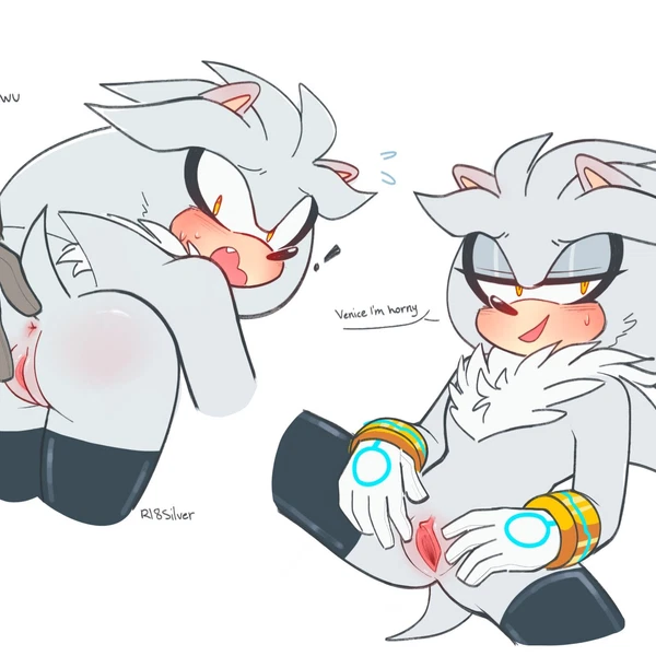 Silver The Hedgehog (Sega, Sonic The Hedgehog (Series)) Created By Silveroppai