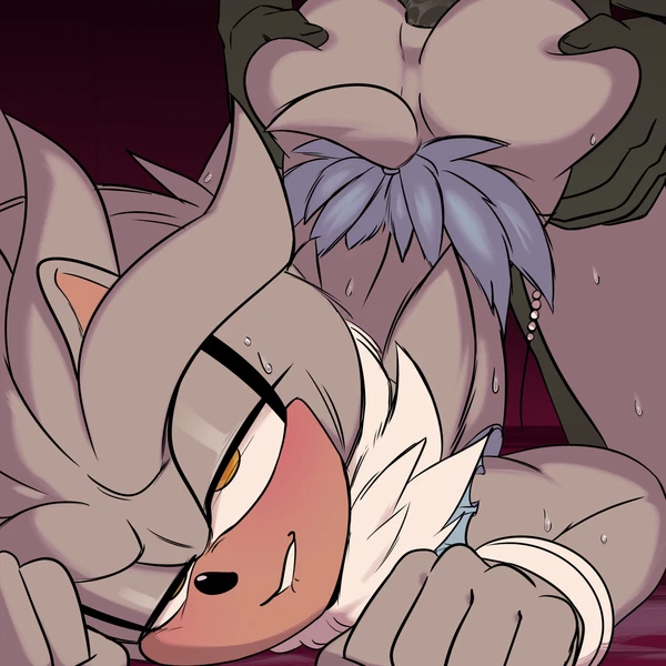 Silver The Hedgehog (Sega, Sonic The Hedgehog (Series)) Created By Toodamncycle