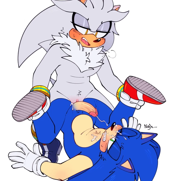 Silver The Hedgehog, Sonic The Hedgehog (Sega, Sonic The Hedgehog (Series)) Created By Silveroppai