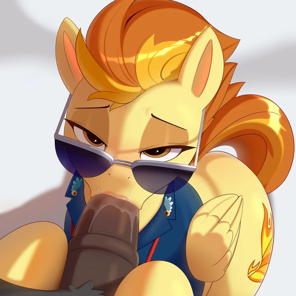 Spitfire (Mlp), Wonderbolts (Mlp) (Friendship Is Magic, Hasbro) Created By Nording