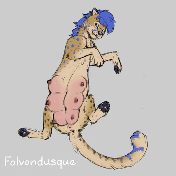 Bluebonnet Created By Folvondusque