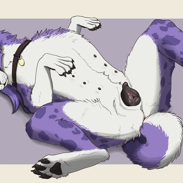 Created By Coyobites