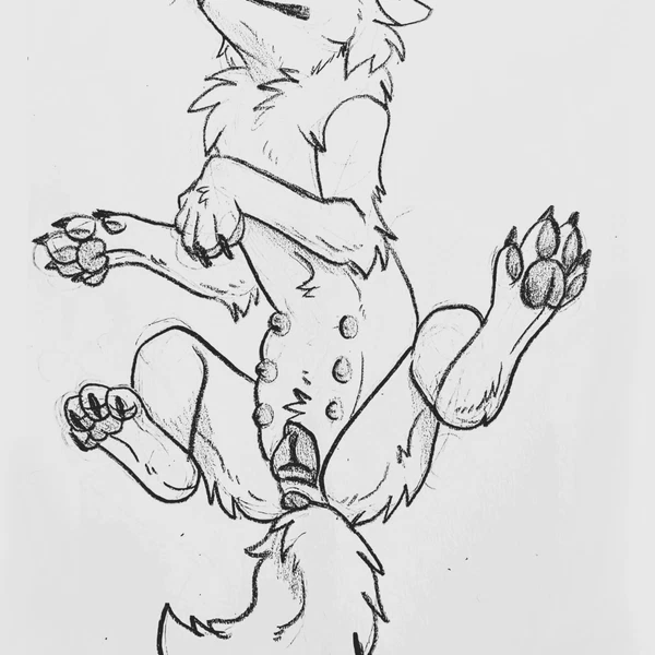 Created By Falsesphinx
